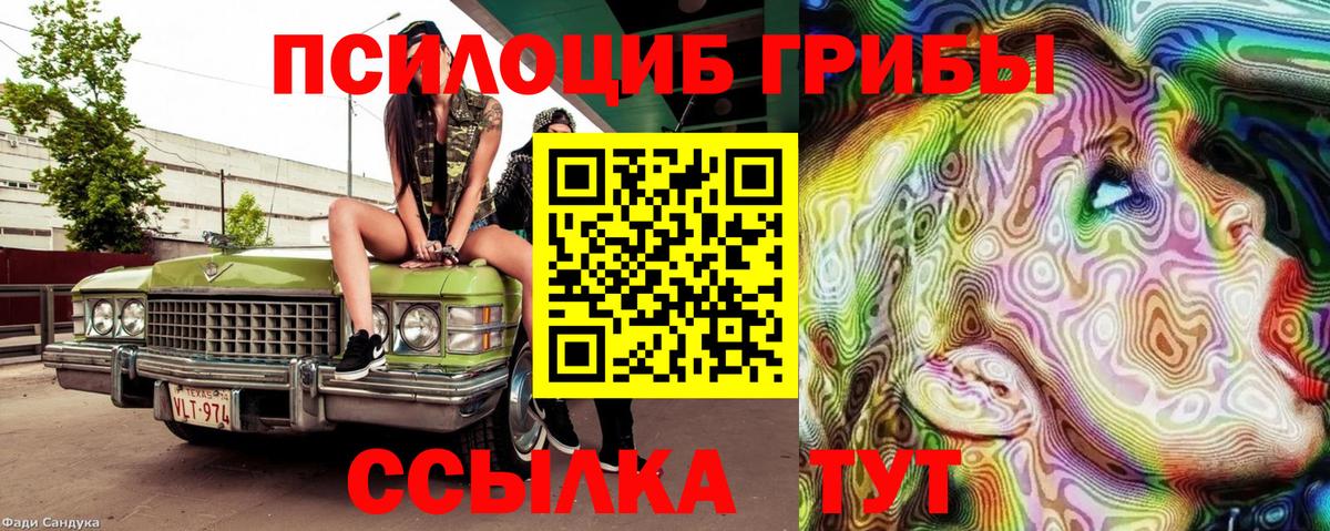 Воткинск  Галлюциногенные грибы GOLDEN TEACHER  Псилоцибиновые грибы Psilocybe  Вход с VPN 